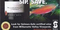 Willamette Valley Vineyards 2